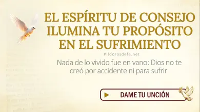 Oración del día al Espíritu Santo: Domingo 26 de julio de 2026 - Propósito de vida