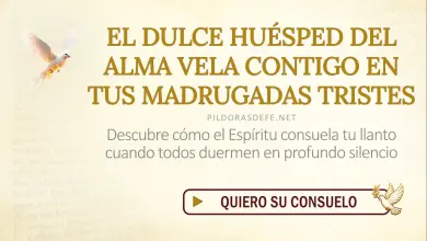 Oración del día al Espíritu Santo: Domingo 30 de agosto 2026 - No llores más sola