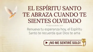 Oración del día al Espíritu Santo: Jueves 6 de agosto 2026 - Dios no te olvida