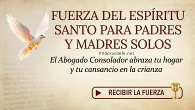 Oración del día al Espíritu Santo: Jueves 11 de junio 2026 - Fuerza para Padres Solos