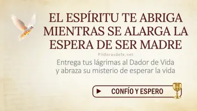 Oración del día al Espíritu Santo: Jueves 13 de agosto 2026 - Consuelo maternal