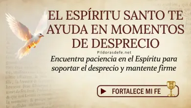 Oración del día al Espíritu Santo: Jueves 14 de mayo 2026 - Paciencia ante el Desprecio