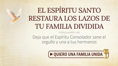 Oración del día al Espíritu Santo: Jueves 20 de agosto 2026 - Sanar la familia dividida