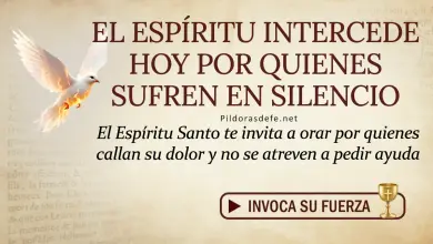 Oración del día al Espíritu Santo: Jueves 21 de mayo 2026 - Interceder por quienes sufren