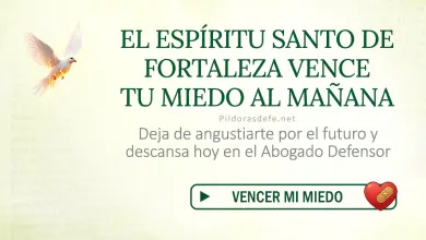 Oración del día al Espíritu Santo: Lunes 3 de agosto 2026 - Vencer miedo al futuro