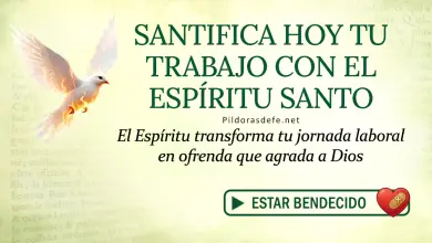 Oración del día al Espíritu Santo: Lunes 15 de junio de 2026 - Santificar el Trabajo