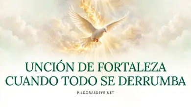 Oración al Espíritu Santo: Lunes 19 de octubre 2026 - Fuerza para no desmayar