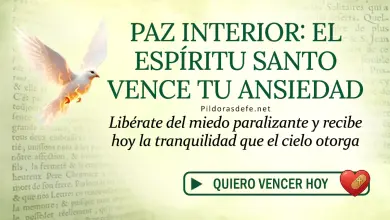 Oración del día al Espíritu Santo: Lunes 25 de mayo 2026 - Vencer la Ansiedad