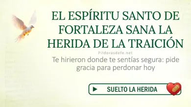 Oración del día al Espíritu Santo: Lunes 27 de julio de 2026 - Perdón y traición
