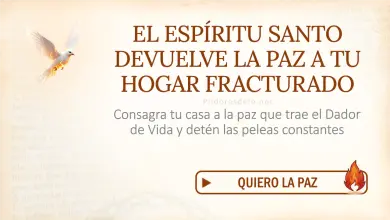 Oración del día al Espíritu Santo: Martes 4 de agosto 2026 - Paz para tu hogar