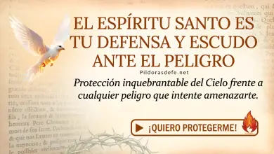 Oración del día al Espíritu Santo: Martes 12 de mayo 2026 - Mi Escudo y Defensa