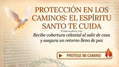 Oración del día al Espíritu Santo: Martes 19 de mayo 2026 - Salidas protegidas