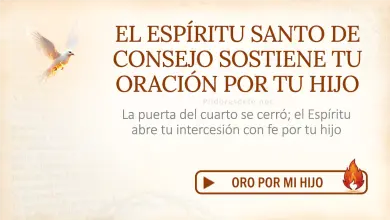 Oración del día al Espíritu Santo: Martes 21 de julio de 2026 - Por el hijo que se alejó