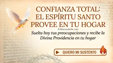 Oración del día al Espíritu Santo: Martes 26 de mayo 2026 - Confianza y Providencia