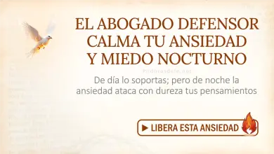 Oración del día al Espíritu Santo: Martes 28 de julio de 2026 - Ansiedad nocturna