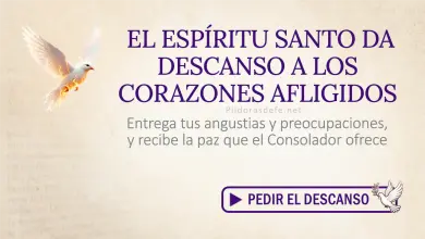 Oración del día al Espíritu Santo: Miércoles 1 de julio de 2026 - Paz para los Afligidos
