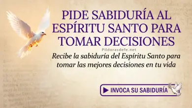 Oración del día al Espíritu Santo: Miércoles 3 de junio 2026 - Sabiduría para Elegir
