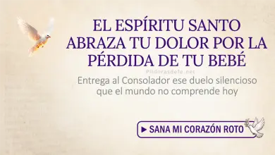 Oración del día al Espíritu Santo: Miércoles 12 de agosto 2026 - Duelo por bebé no nacido