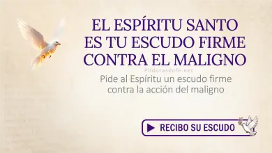 Oración del día al Espíritu Santo: Miércoles 15 de julio de 2026 - Escudo espiritual