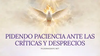 Oración al Espíritu Santo: Miércoles 21 de octubre 2026 - Paciencia ante la crítica