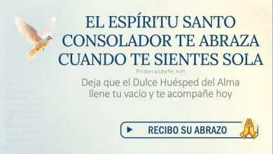 Oración del día al Espíritu Santo: Sábado 1 de agosto 2026 - Sanar la soledad