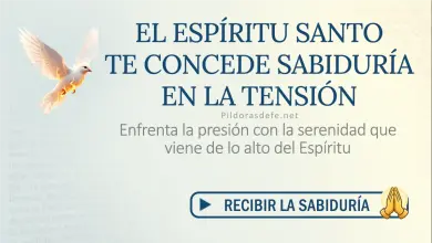 Oración del día al Espíritu Santo: Sábado 4 de julio de 2026 - Sabiduría y Serenidad