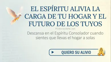 Oración del día al Espíritu Santo: Sábado 8 de agosto 2026 - Alivio en el hogar