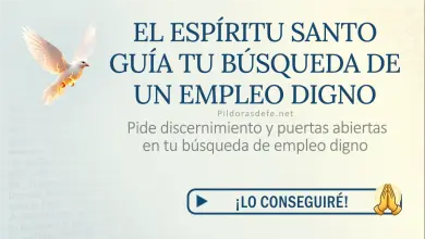 Oración del día al Espíritu Santo: Sábado 11 de julio de 2026 - Búsqueda de empleo
