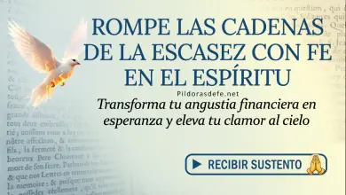 Oración del día al Espíritu Santo: Sábado 16 de mayo 2026 - Fe ante la escasez