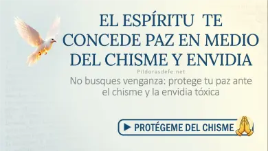 Oración del día al Espíritu Santo: Sábado 18 de julio de 2026 - Paz ante la envidia