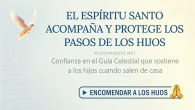 Oración al Espíritu Santo: Sábado 19 de septiembre 2026 - Protección para los hijos