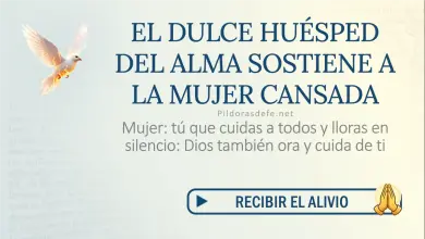 Oración del día al Espíritu Santo: Sábado 25 de julio de 2026 - Mujer cansada