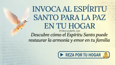 Oración del día al Espíritu Santo: Sábado 30 de mayo 2026 - Paz y Armonía en el Hogar