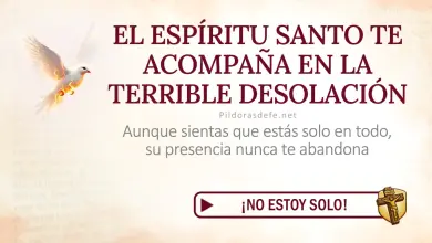 Oración del día al Espíritu Santo: Viernes 3 de julio de 2026 - Compañía en Soledad