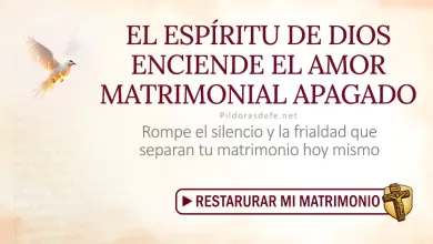 Oración del día al Espíritu Santo: Viernes 7 de agosto 2026 - Matrimonio unido