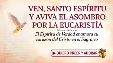 Oración del día al Espíritu Santo: Viernes 12 de junio 2026 - Asombro Eucarístico