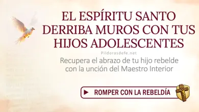 Oración del día al Espíritu Santo: Viernes 14 de agosto 2026 - Por los Hijos rebeldes