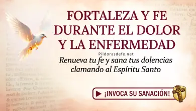 Oración del día al Espíritu Santo: Viernes 15 de mayo 2026 - Fe en la enfermedad