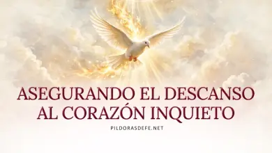 Oración al Espíritu Santo: Viernes 16 de octubre 2026 - Descanso para el alma