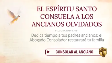 Oración del día al Espíritu Santo: Viernes 21 de agosto 2026 - Amor en la vejez