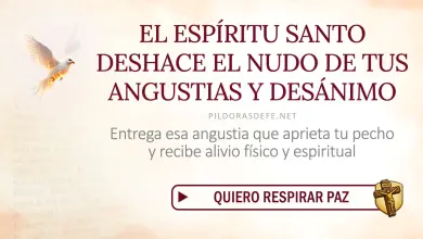 Oración del día al Espíritu Santo: Viernes 28 de agosto 2026 - Sanar la angustia