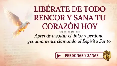 Oración del día al Espíritu Santo: Viernes 29 de mayo 2026 - El don de perdonar
