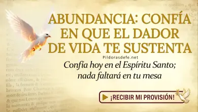 Oración del día al Espíritu Santo: Domingo 3 de mayo 2026 - Confianza y Providencia