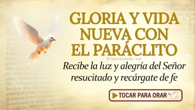 Oración del día al Espíritu Santo: Domingo 15 de marzo 2026 - Victoria de la Fe