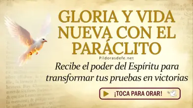 Oración del día al Espíritu Santo: Domingo 29 de marzo 2026 - Fuerza y Poder