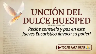 Oración del Día al Espíritu Santo: Jueves 12 de Marzo 2026 - Unción del Dulce Huésped