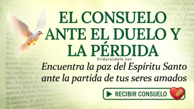 Oración del día al Espíritu Santo: Lunes 13 de abril 2026 - Consuelo ante el Duelo