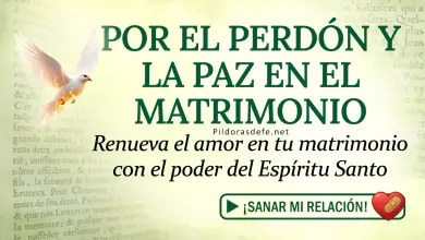 Oración del día al Espíritu Santo: Lunes 6 de abril 2026 - Renovación Matrimonial