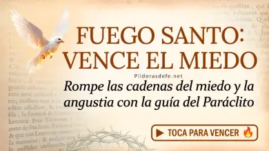 Oración del día al Espíritu Santo: Martes 17 de marzo 2026 - Vence el Miedo