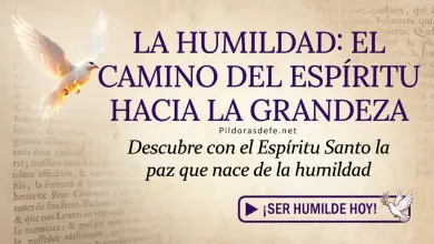 Oración del día al Espíritu Santo: Miércoles 22 de abril 2026 - Humildad y Servicio